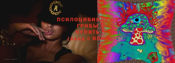 ПСИЛОЦИБИНОВЫЕ ГРИБЫ Семикаракорск
