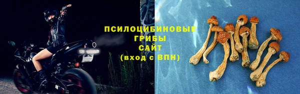 твердый Семилуки