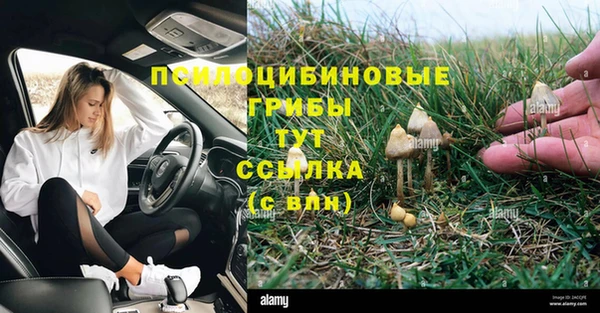твердый Семилуки