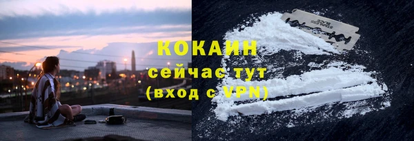 твердый Семилуки