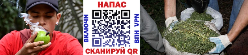 ОМГ ОМГ сайт Суровикино Марихуана VHQ